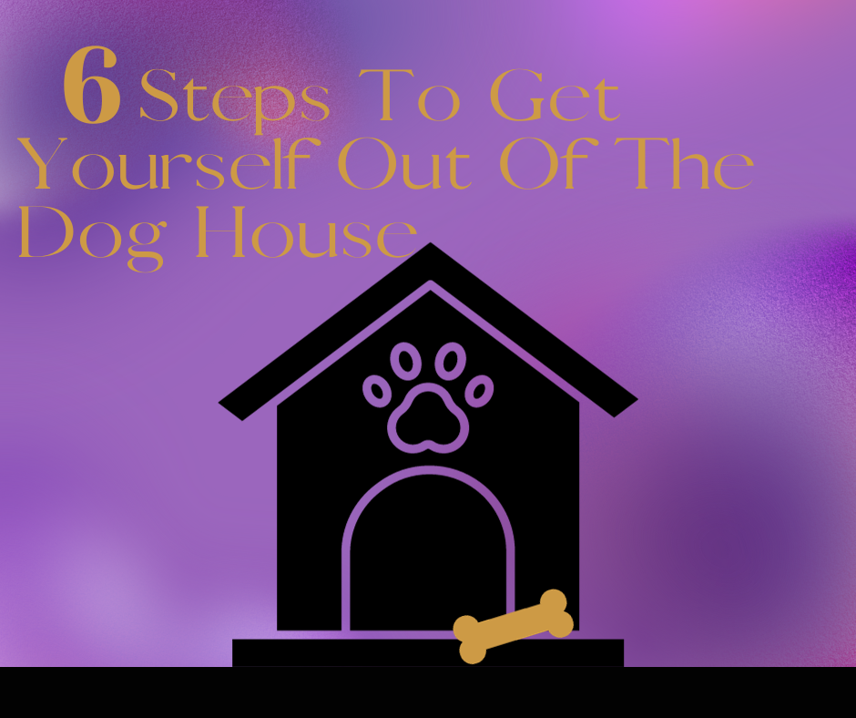 Six Steps To Get Out Of The Dog House
