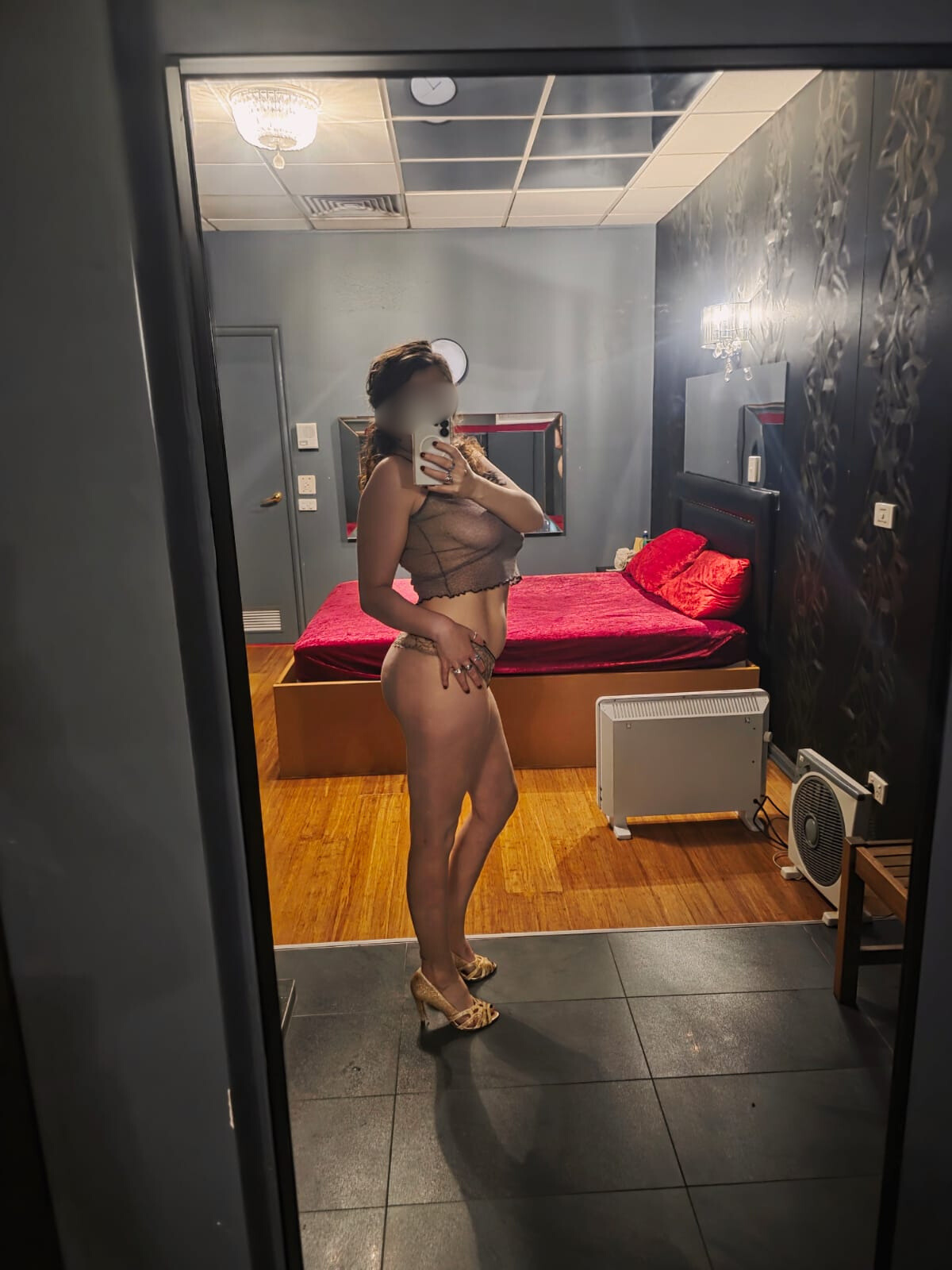 Piper