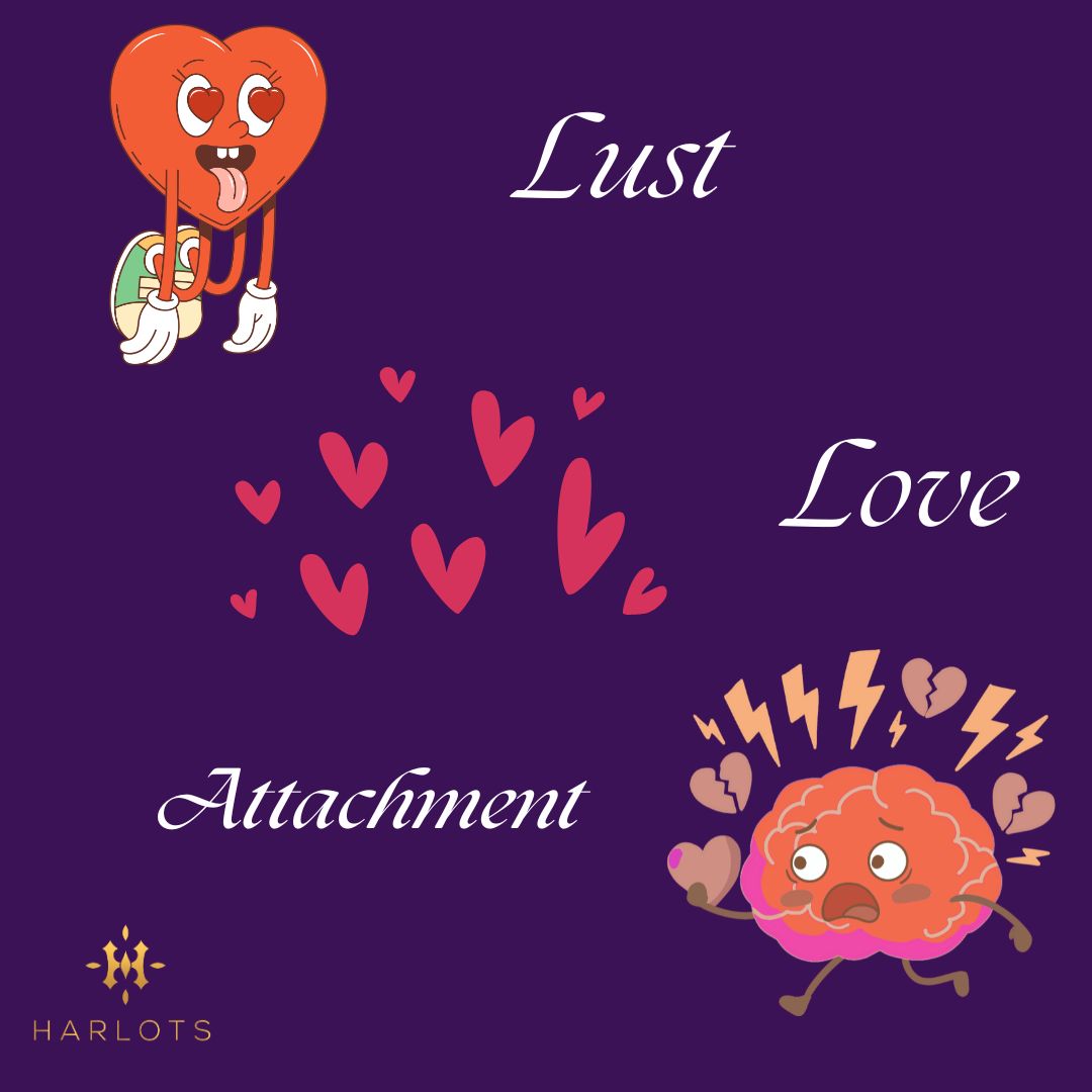 The Truth About Lust, Love, and Attachment Explained Simply
